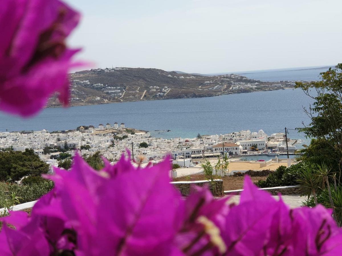 Bellou Suites Mykonos Town 외부 사진